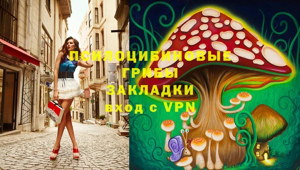 apvp Алексеевка