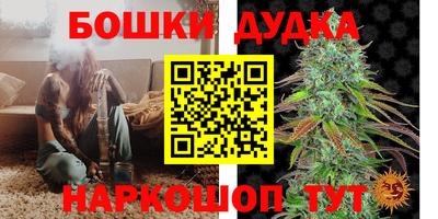 прущие крисы Изобильный