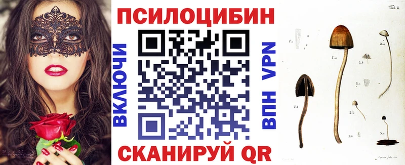 хочу   Михайловск  Псилоцибиновые грибы Magic Shrooms 