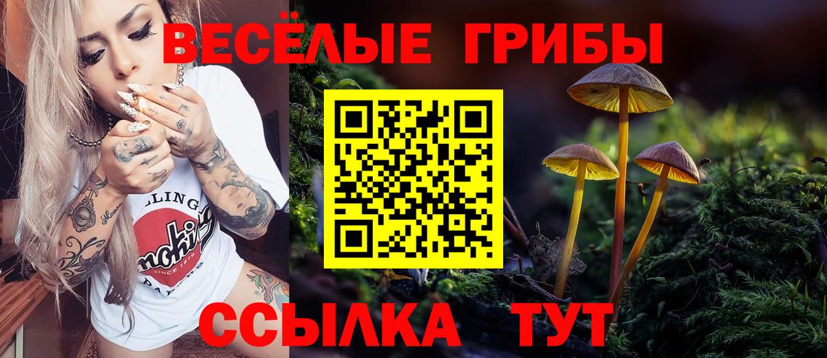 Михайловск  Галлюциногенные грибы GOLDEN TEACHER  Псилоцибиновые грибы прущие грибы  Вход с VPN 